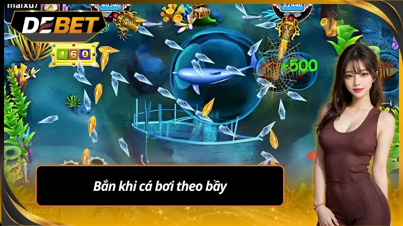 Bắn cá rồng bơi theo bầy