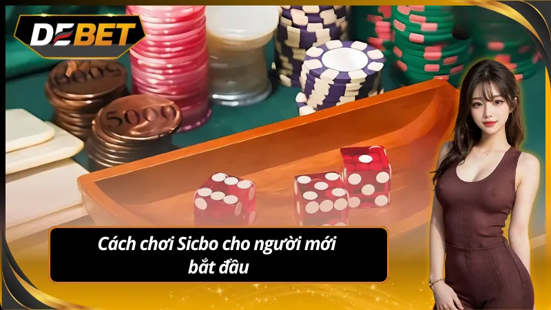 Cách chơi sicbo cho người mới bắt đầu